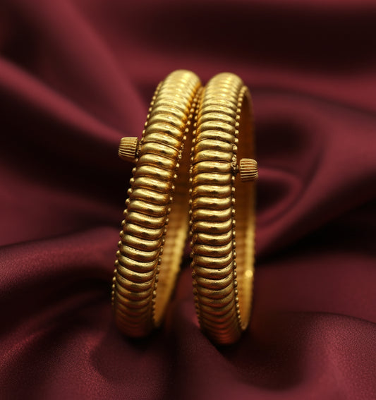 Royal Legacy Shindeshahi Tode